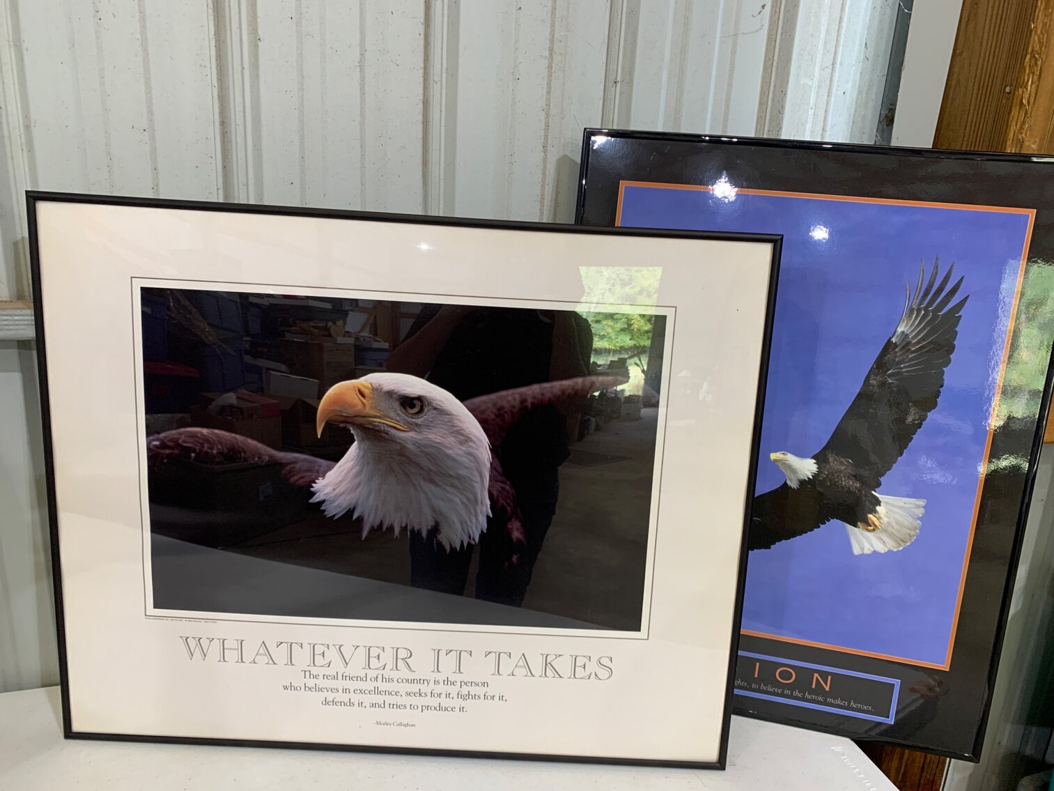 2 Eagle Pictures- Whatever It Takes And Vision