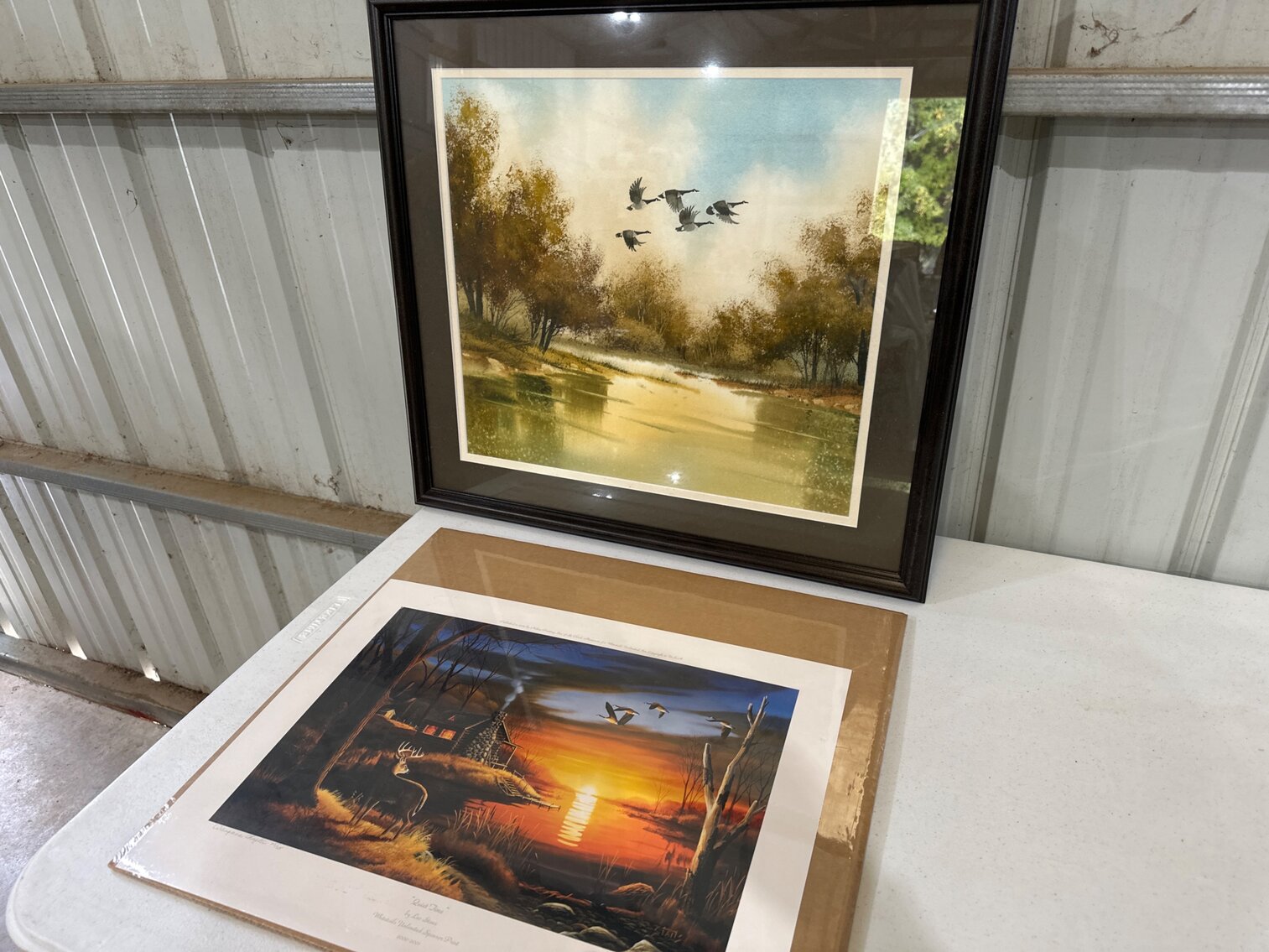 Framed Goose Picture and Print