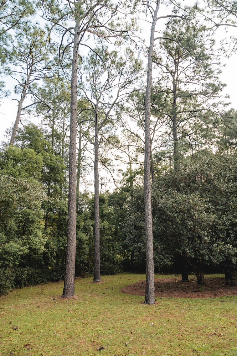 Image for Home in Carlton Woods Subdivision- 112 Loblolly Rd