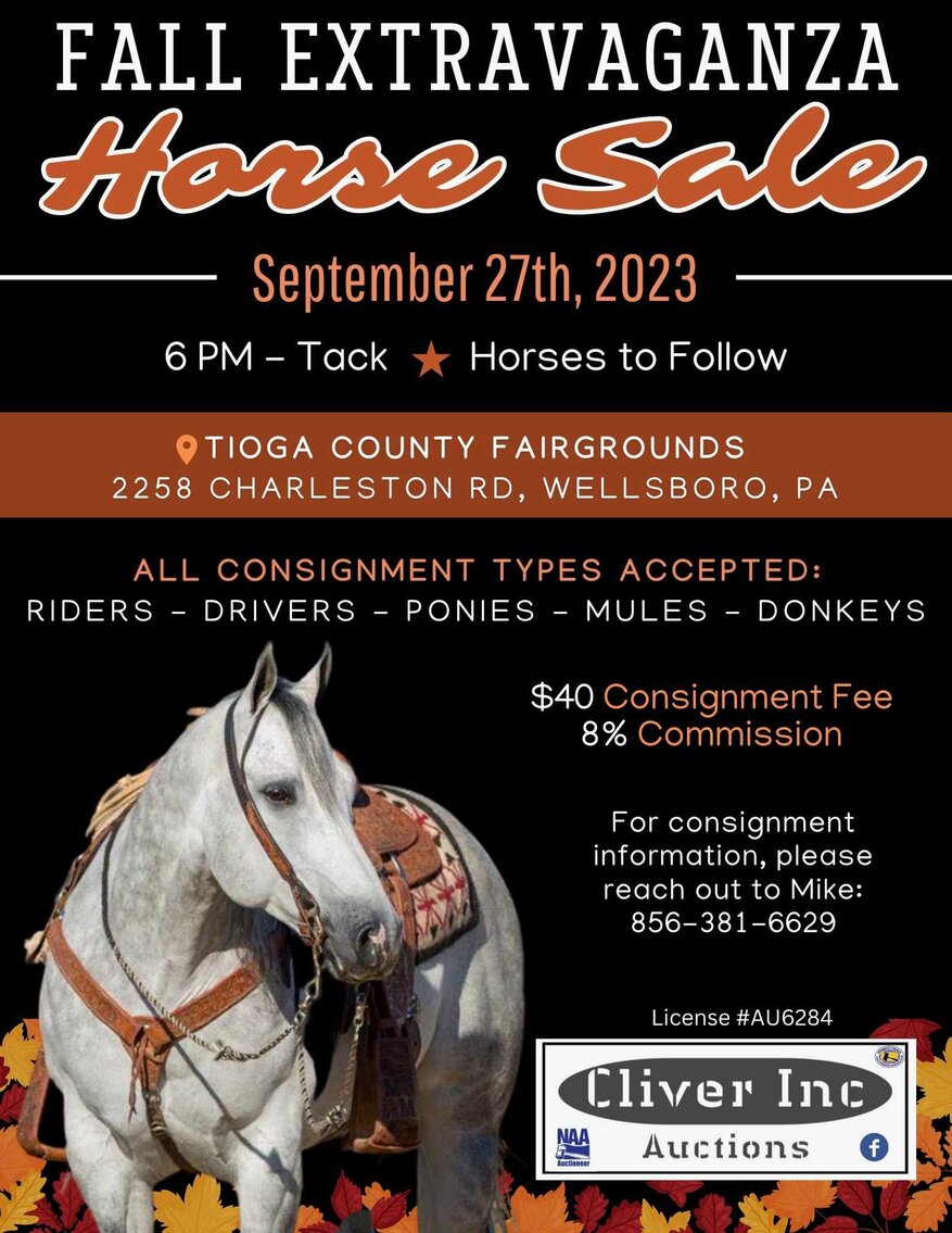 Image for Cliver INC- Fall Extravaganza Horse Sale