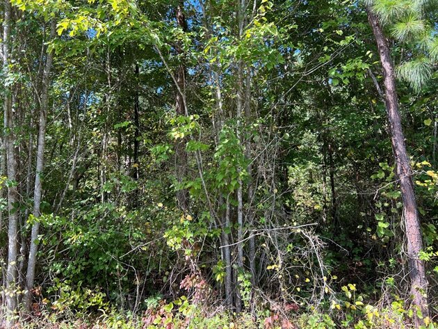 Image for Louisa County, VA Sale of Tax Delinquent Sale Real Estate