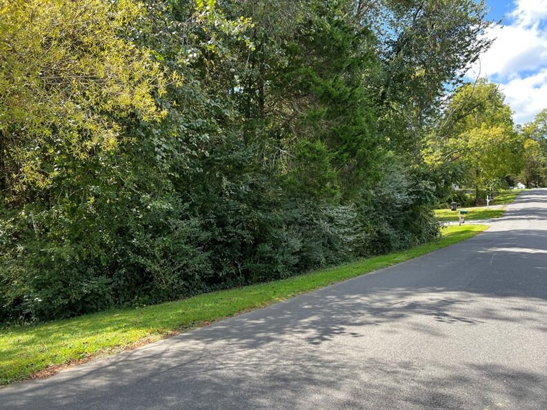 Ronald T. & Nerina Shanks, on S Lakeshore Dr, Lot No. 552, Blue Ridge Shores, Green Springs Magisterial District, Acct. 15849, Tax Map 13A5-5-552