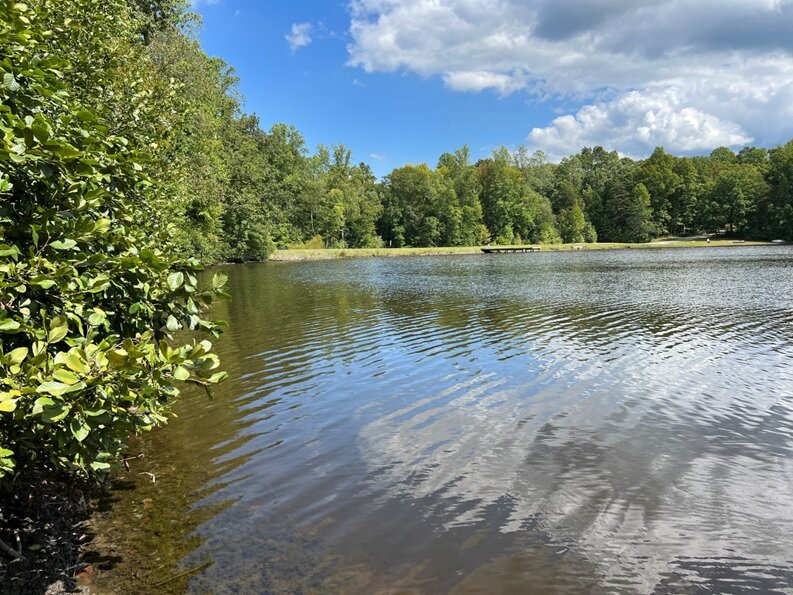 Steven Salmon, on Turtle St, Lot 10 BLK F Orchid Lake Est, Cuckoo Magisterial District, Acct. 3099, Tax Map 96A-1-F-10