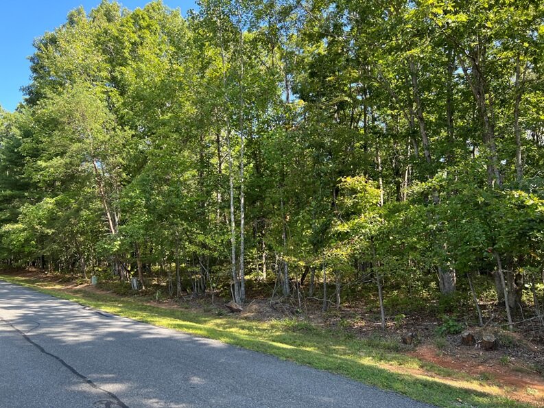 David T. & Esther O. Griffith, on Pinehurst Dr, 0.381 AC +/-, Lot 152 Phase I Shenandoah Crossing Country Club, Acct 19850, Tax Map 10C-1-152