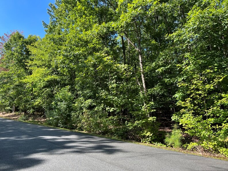 I & J Home Builders, LLC, on Pinehurst Dr & Old CC Rd, 0.552 AC +/-, Lot 197 Phase II Shenandoah Crossing Country Club, Acct. 19896, Tax Map 10C1-1-197