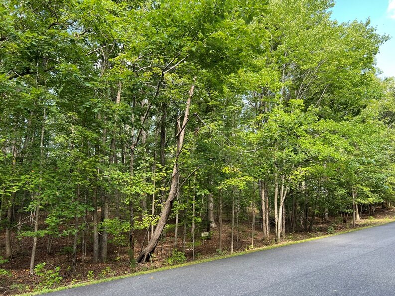 I & J Home Builders, LLC, on Pinehurst Dr & Old CC Rd, 0.517 AC +/-, Lot 197 Phase II Shenandoah Crossing Country Club, Acct. 19897, Tax Map 10C1-1-198 