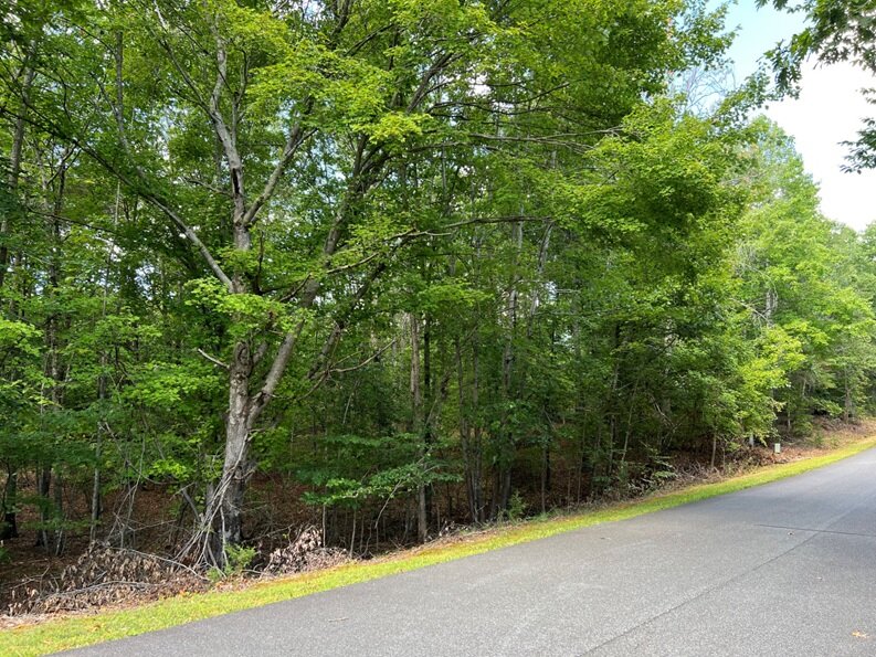 Richard B. & Monique Paule Tubb, W Pebble Beach Dr, 0.372 AC +/-, Lot 124 Phase I Shenandoah Crossing Country Club, Acct. 19823, Tax Map 10C2-1-124 