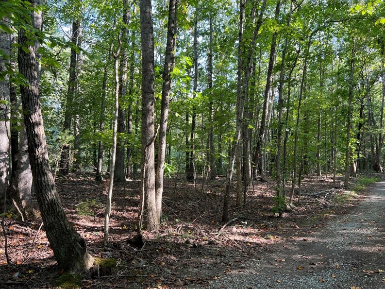 Ellis & Sarah Quarles, near I64 & Three Notch Rd, 10.24 AC +/-, Louisa Magisterial District, Acct. 13129, Tax Map 68-18