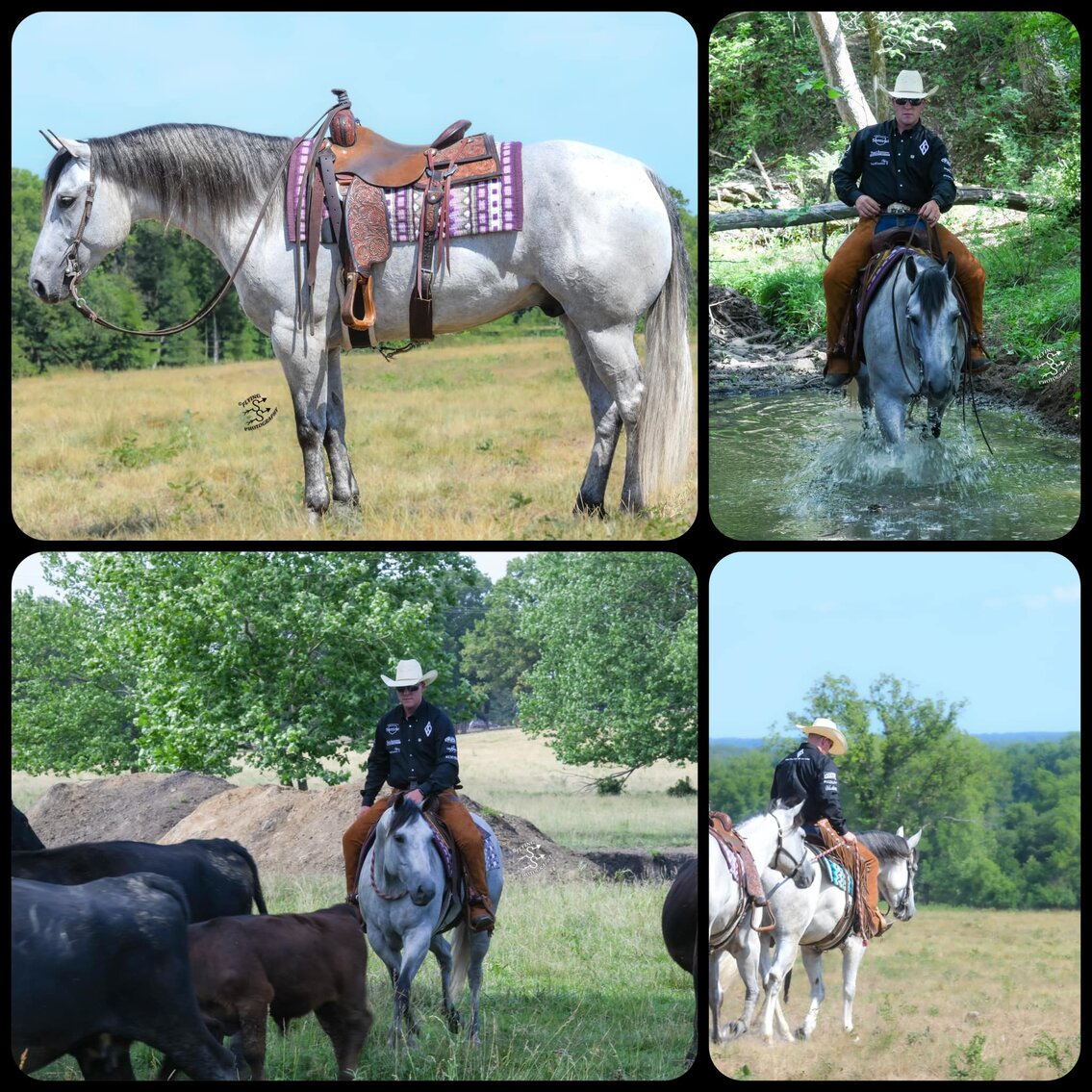 Image for The Horseman's Mission Select Sale