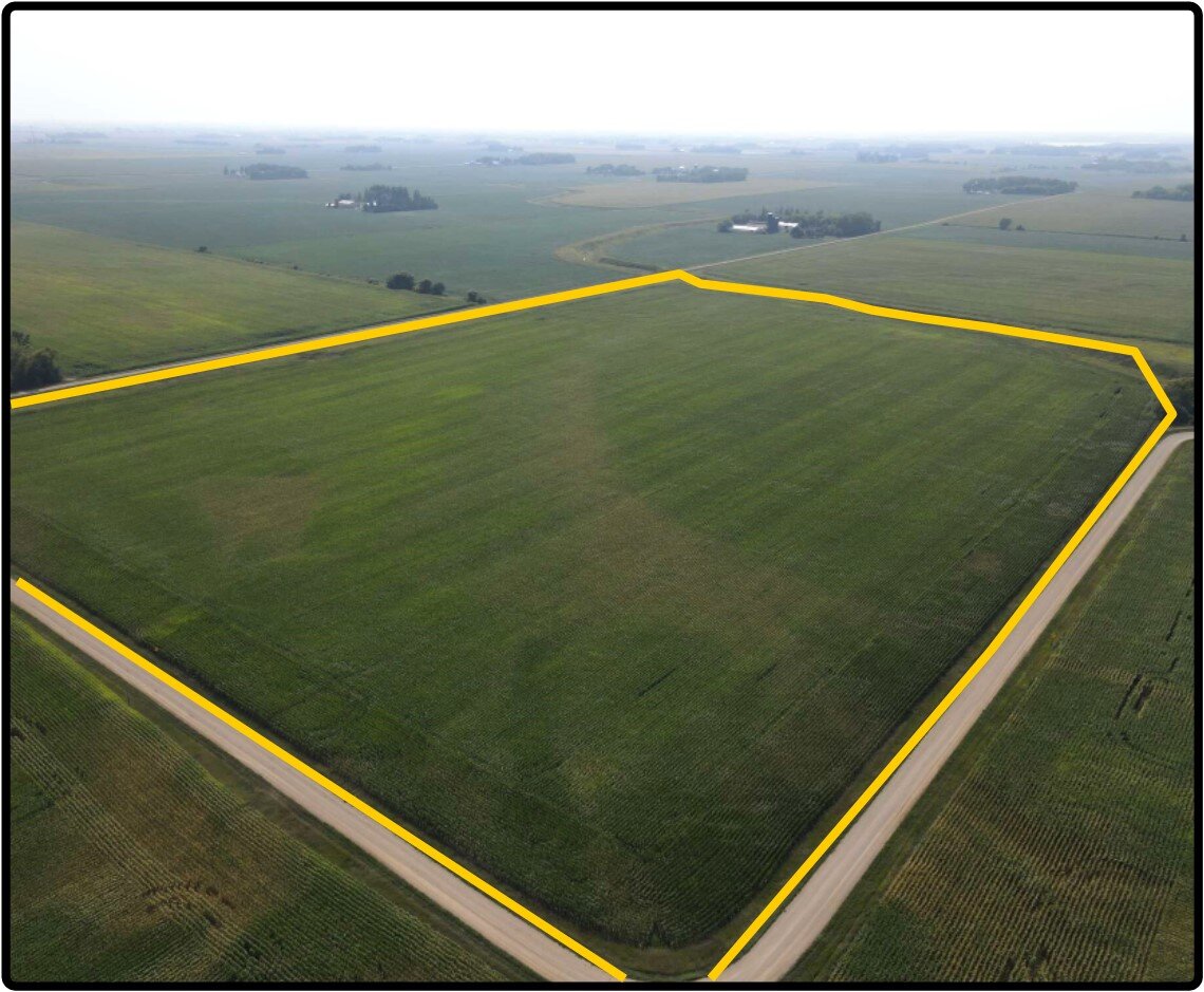 Parcel 2 Freeborn Co., MN 56.00 Ac., m/l (020046711)