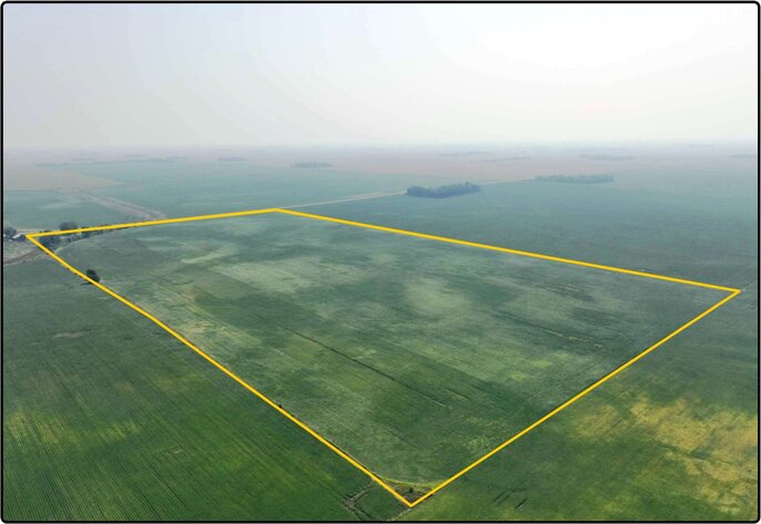 Image for Closed - Redwood Co., MN - 80.00 Ac., m/l (190-0215-01)