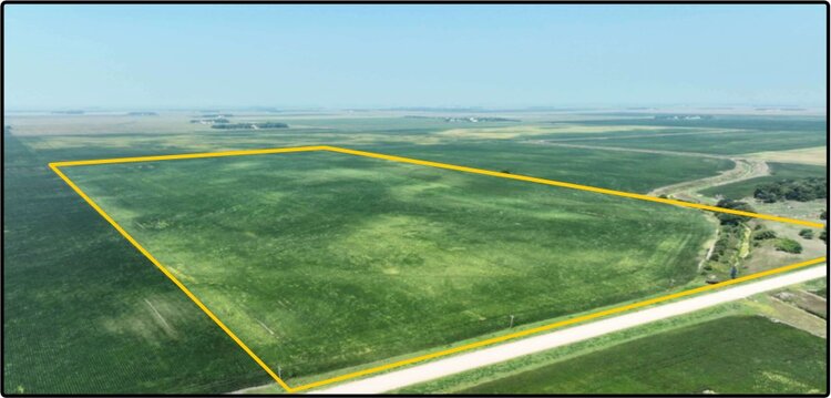 Image for Closed - Redwood Co., MN - 80.00 Ac., m/l (190-0215-01)