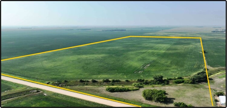 Image for Closed - Redwood Co., MN - 80.00 Ac., m/l (190-0215-01)