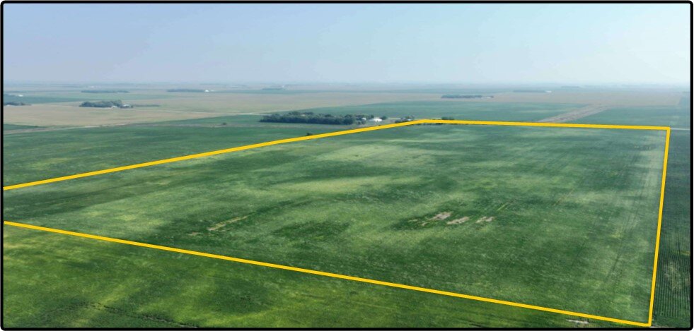 Image for Closed - Redwood Co., MN - 80.00 Ac., m/l (190-0215-01)