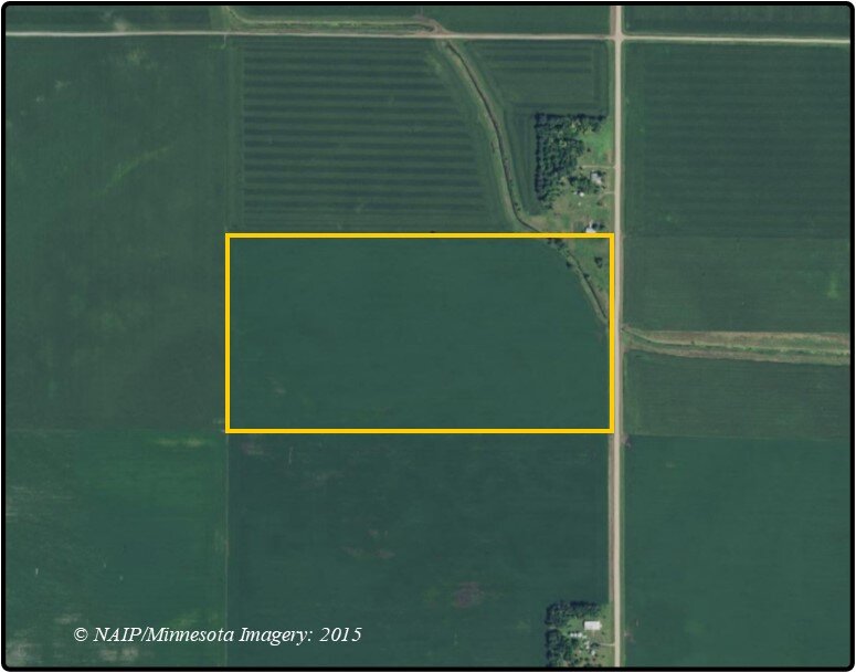 Image for Closed - Redwood Co., MN - 80.00 Ac., m/l (190-0215-01)