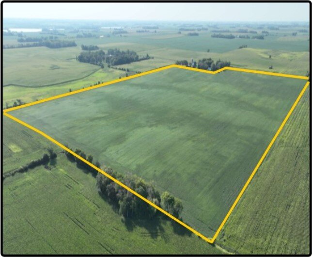 Parcel 1 Blue Earth Co., MN 94.00 Ac., m/l (190021001)