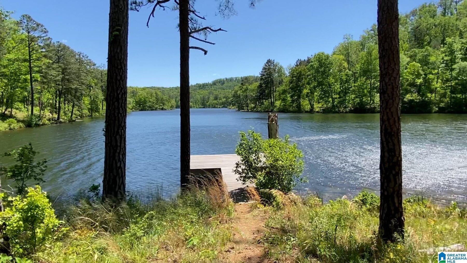 Image for Whited Lake Farm  A 583± Acre Legacy Property in Oneonta, Alabama...SOLD