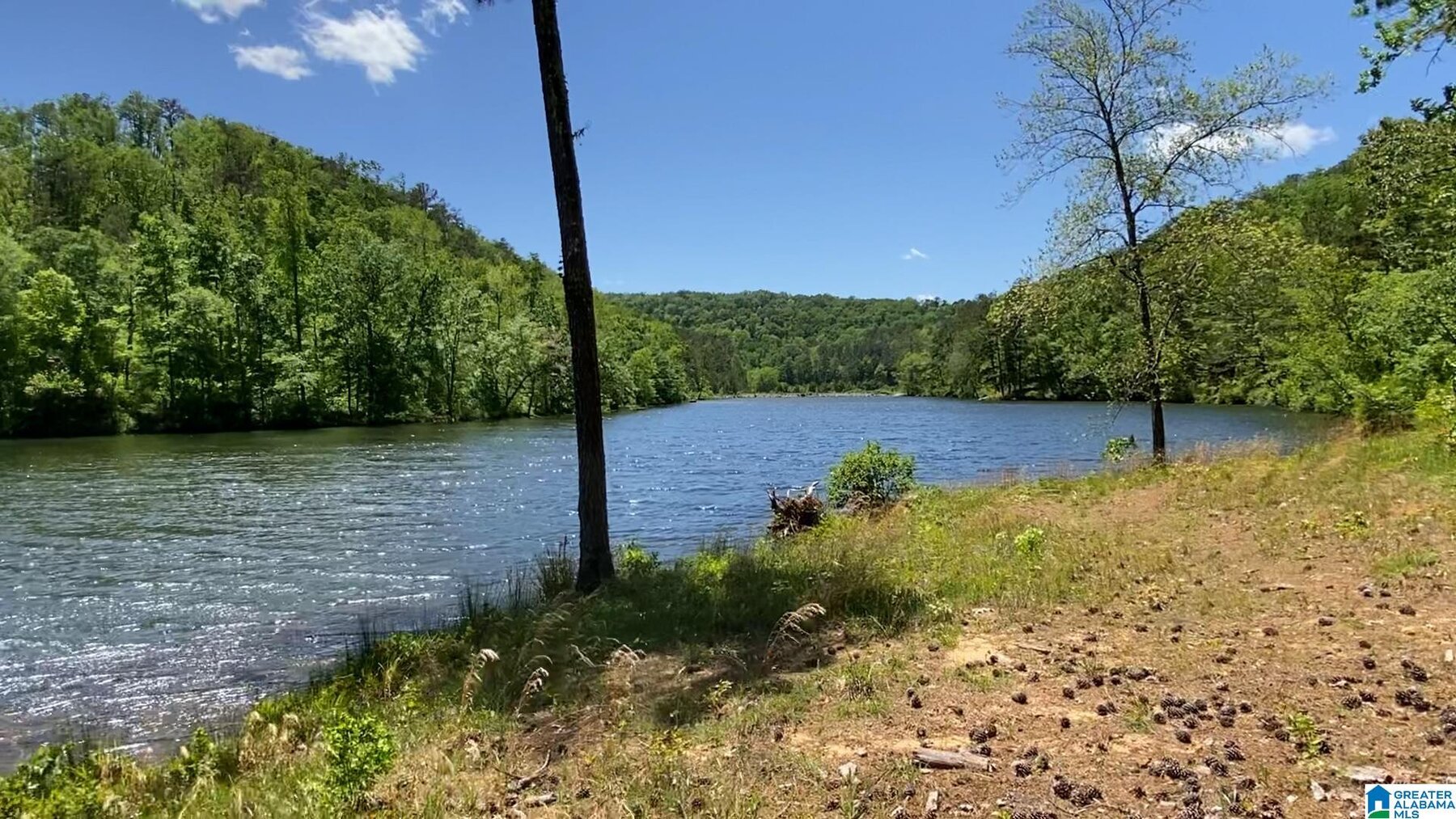 Image for Whited Lake Farm  A 583± Acre Legacy Property in Oneonta, Alabama...SOLD