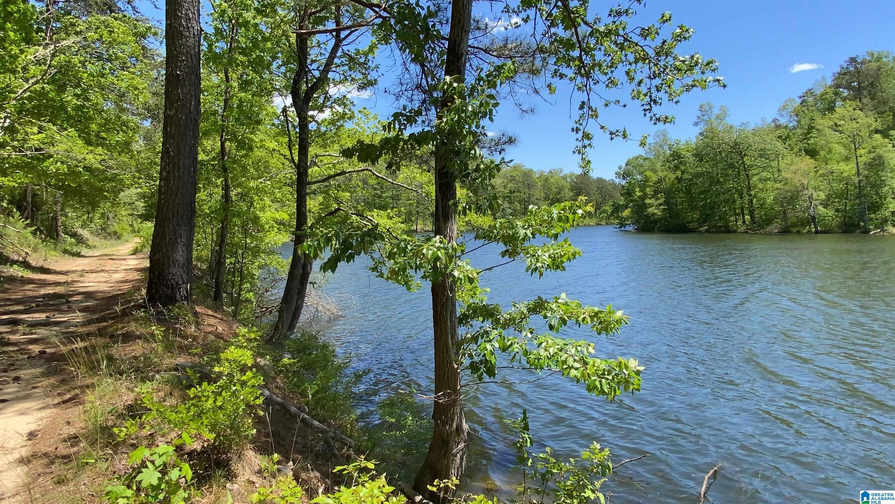 Image for Whited Lake Farm  A 583± Acre Legacy Property in Oneonta, Alabama...SOLD