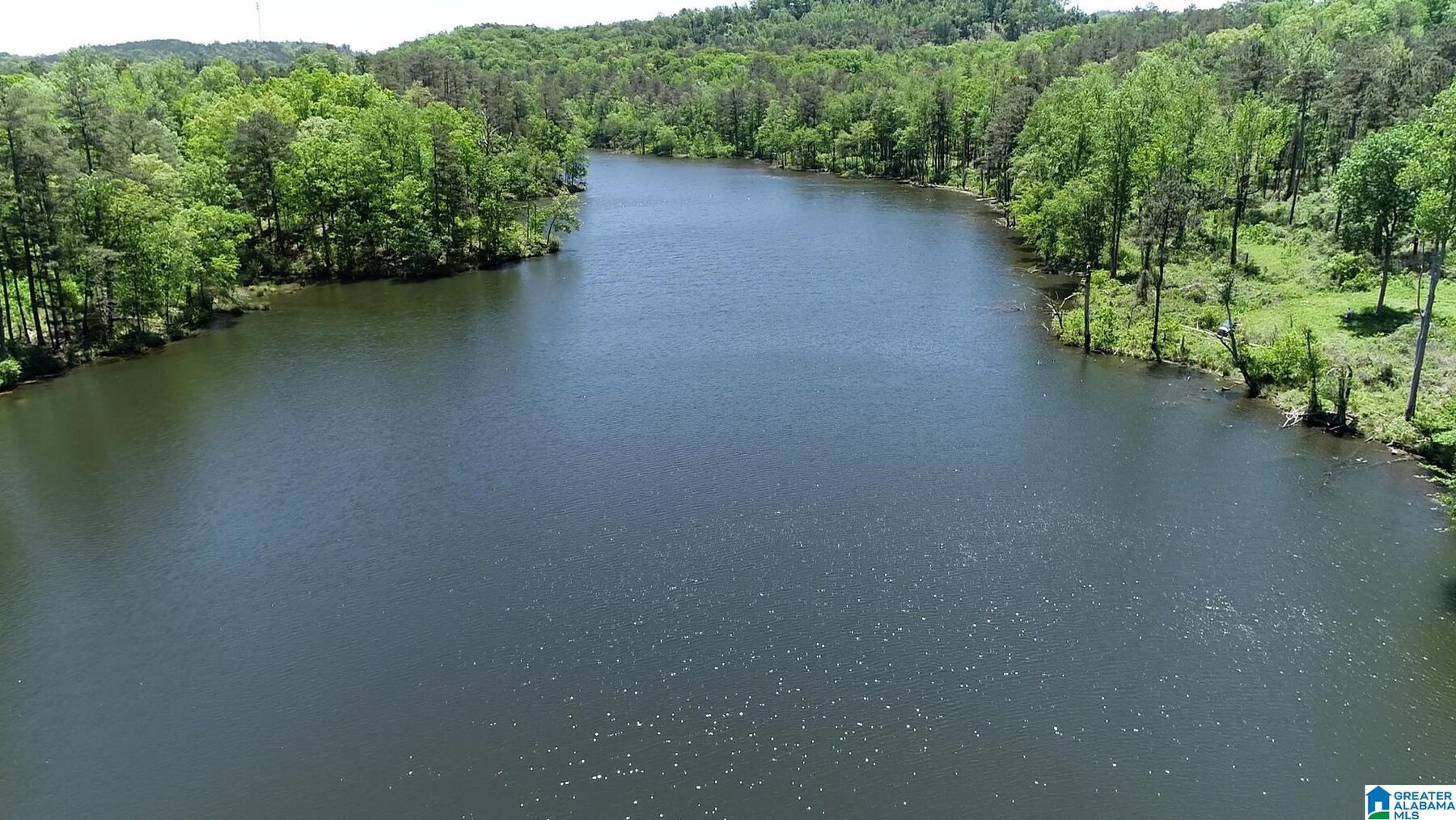Image for Whited Lake Farm  A 583± Acre Legacy Property in Oneonta, Alabama...SOLD