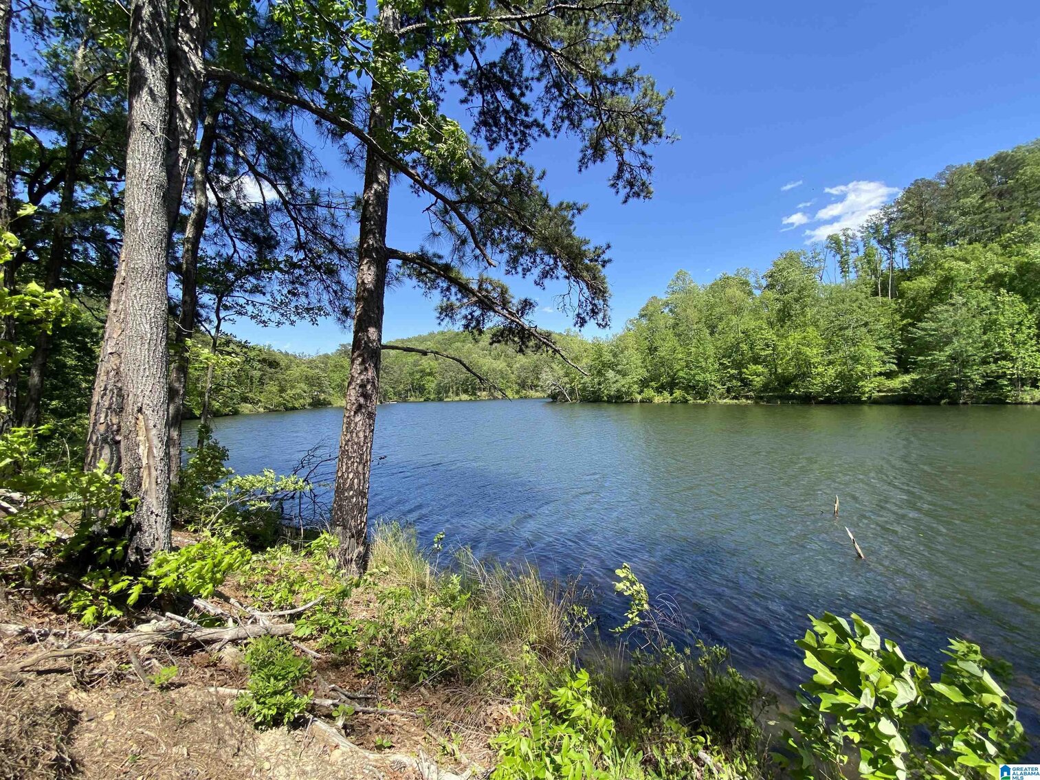 Image for Whited Lake Farm  A 583± Acre Legacy Property in Oneonta, Alabama...SOLD