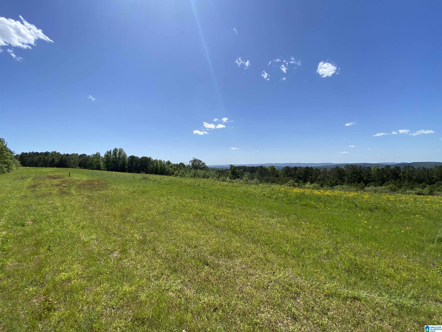 Image for Whited Lake Farm  A 583± Acre Legacy Property in Oneonta, Alabama...SOLD