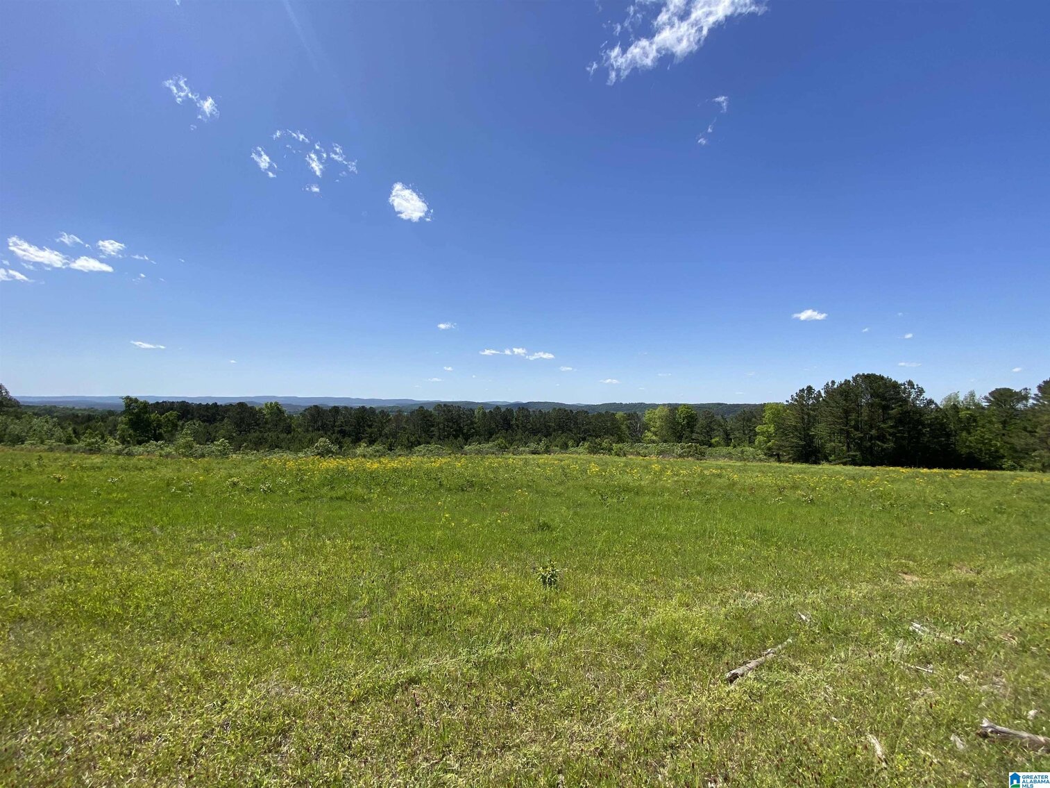 Image for Whited Lake Farm  A 583± Acre Legacy Property in Oneonta, Alabama...SOLD