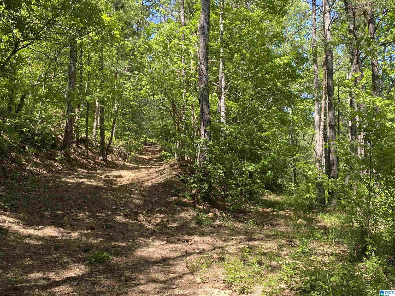 Image for Whited Lake Farm  A 583± Acre Legacy Property in Oneonta, Alabama...SOLD