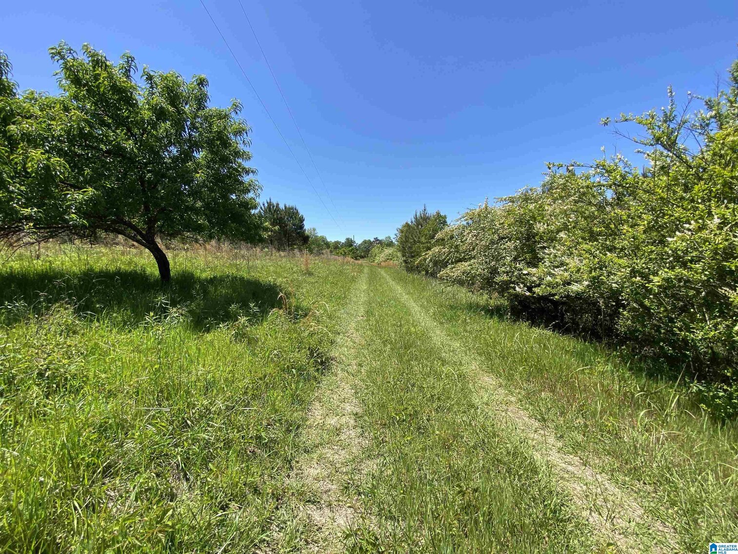 Image for Whited Lake Farm  A 583± Acre Legacy Property in Oneonta, Alabama...SOLD