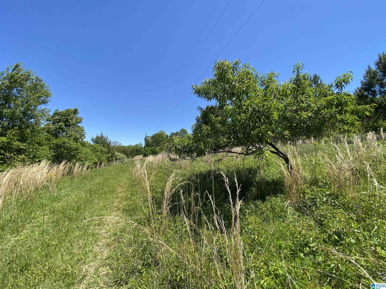 Image for Whited Lake Farm  A 583± Acre Legacy Property in Oneonta, Alabama...SOLD