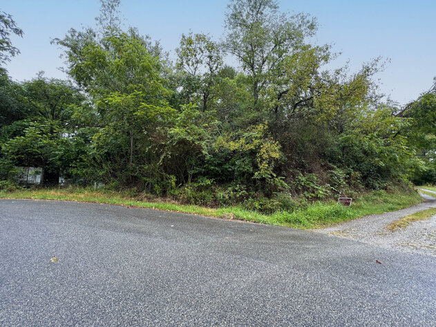 Image for Town of Pulaski VA Sale of Tax Delinquent Real Estate