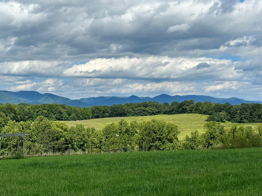 Image for 172 Hayden Road,  Claudville, VA 24076