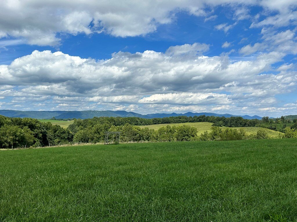 Image for 172 Hayden Road,  Claudville, VA 24076