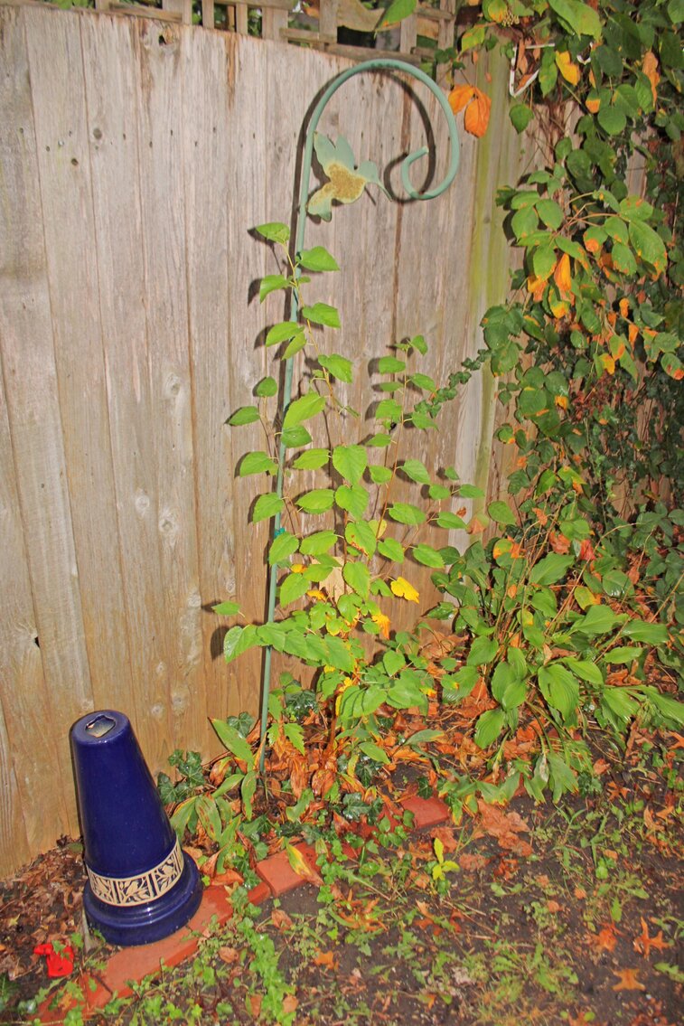 Image for ECLECTIC ESTATE AUCTION