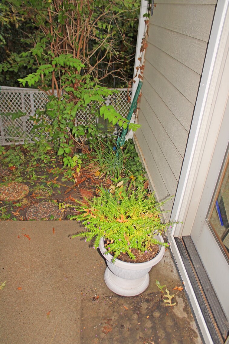 Image for ECLECTIC ESTATE AUCTION