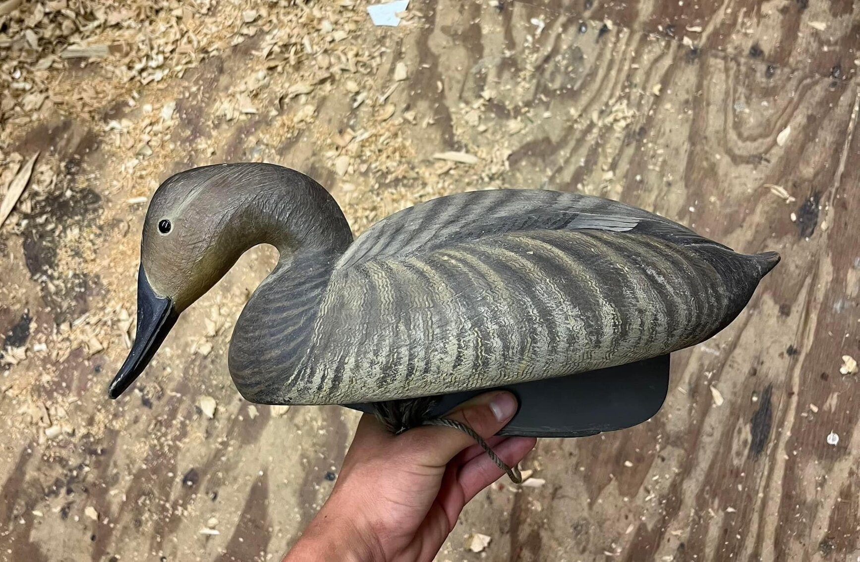 Image for Auction & Fundraiser for Wyatt Revell, Atlantic VA