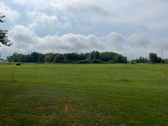 Image for Wahkon Area Real Estate