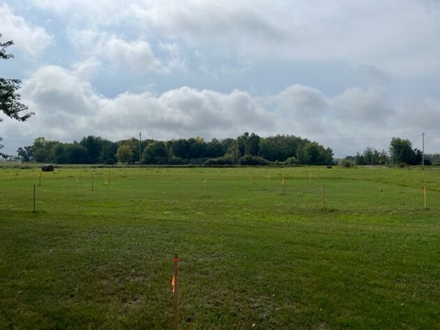 Image for Wahkon Area Real Estate