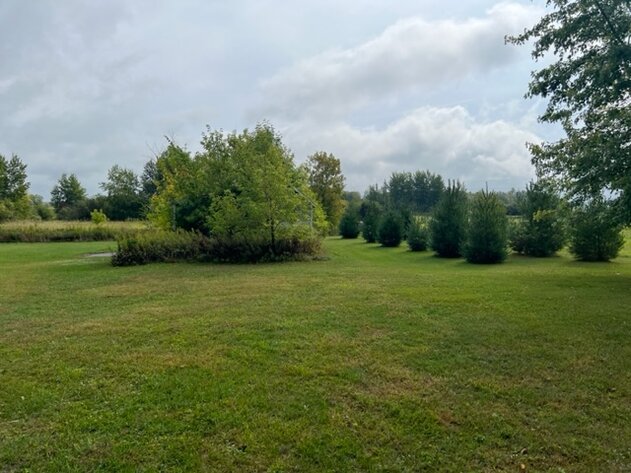 Image for Wahkon Area Real Estate