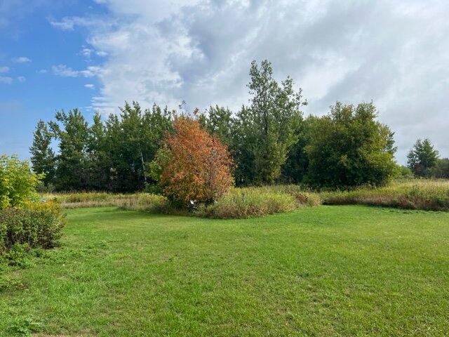 Image for Wahkon Area Real Estate