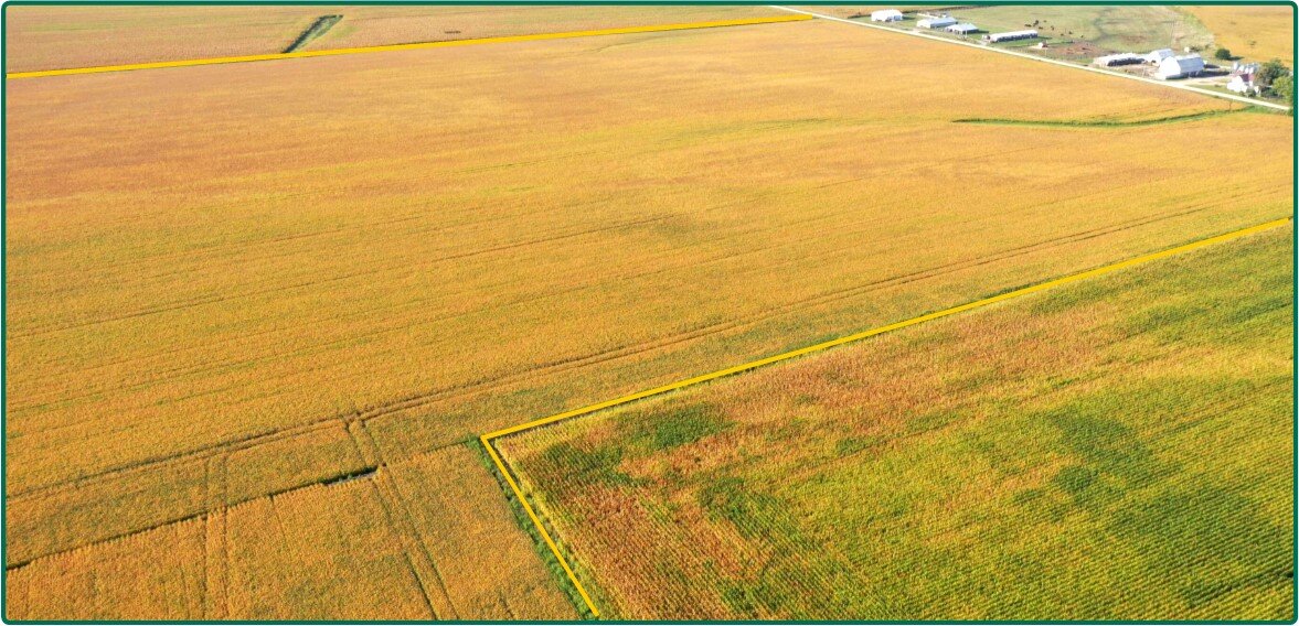 Image for Closed - Cedar Co., IA - 100.00 Ac., m/l (010-2668-02)