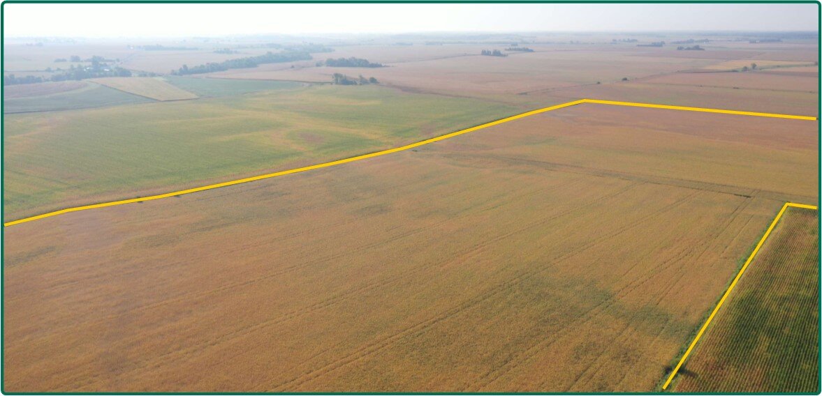 Image for Closed - Cedar Co., IA - 100.00 Ac., m/l (010-2668-02)
