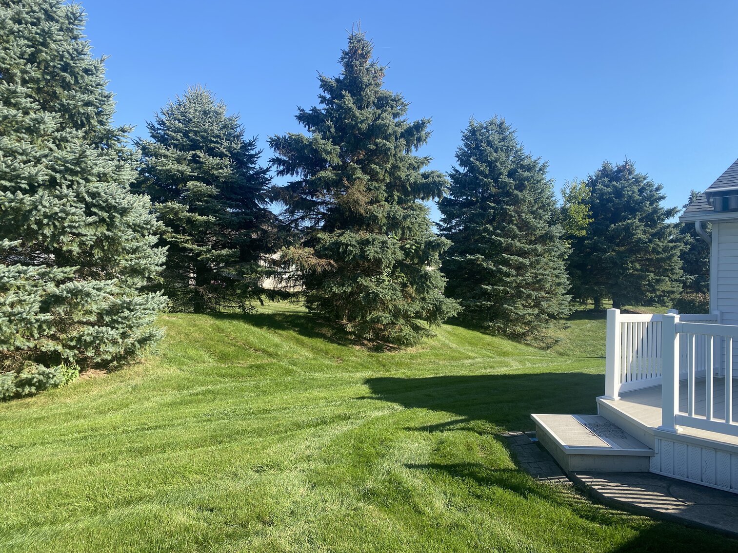 Image for 4533 Blackstone Drive East, Maumee, Ohio 43537