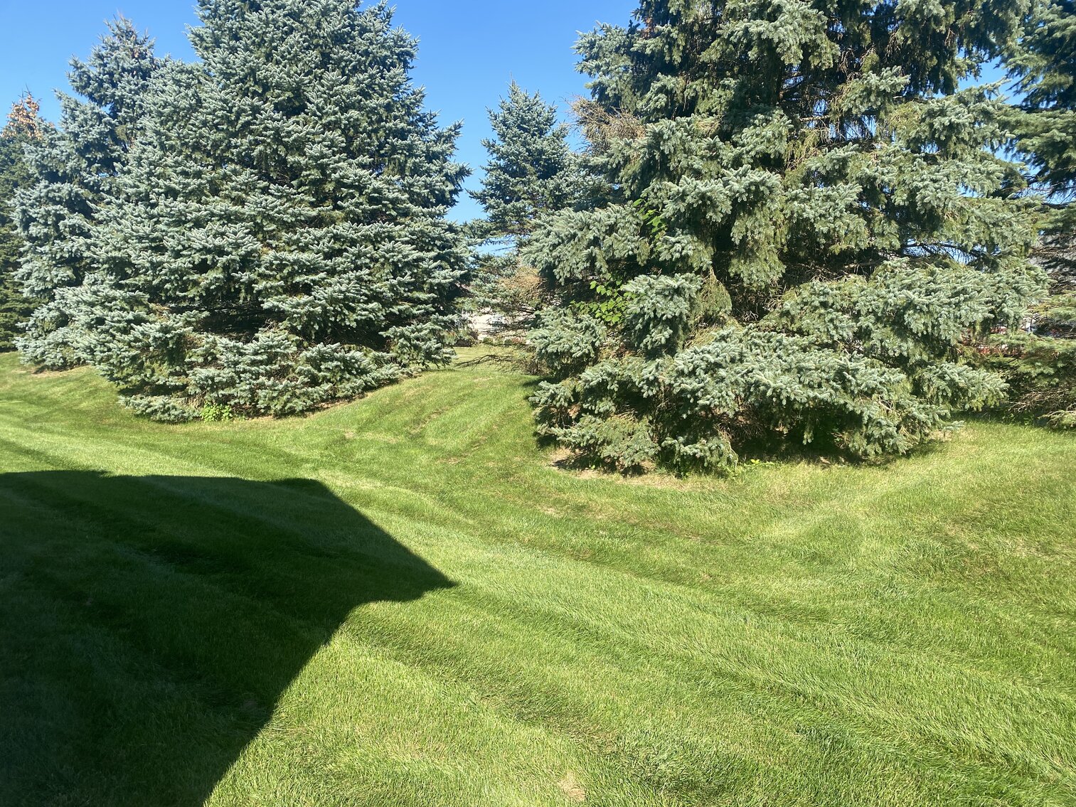 Image for 4533 Blackstone Drive East, Maumee, Ohio 43537