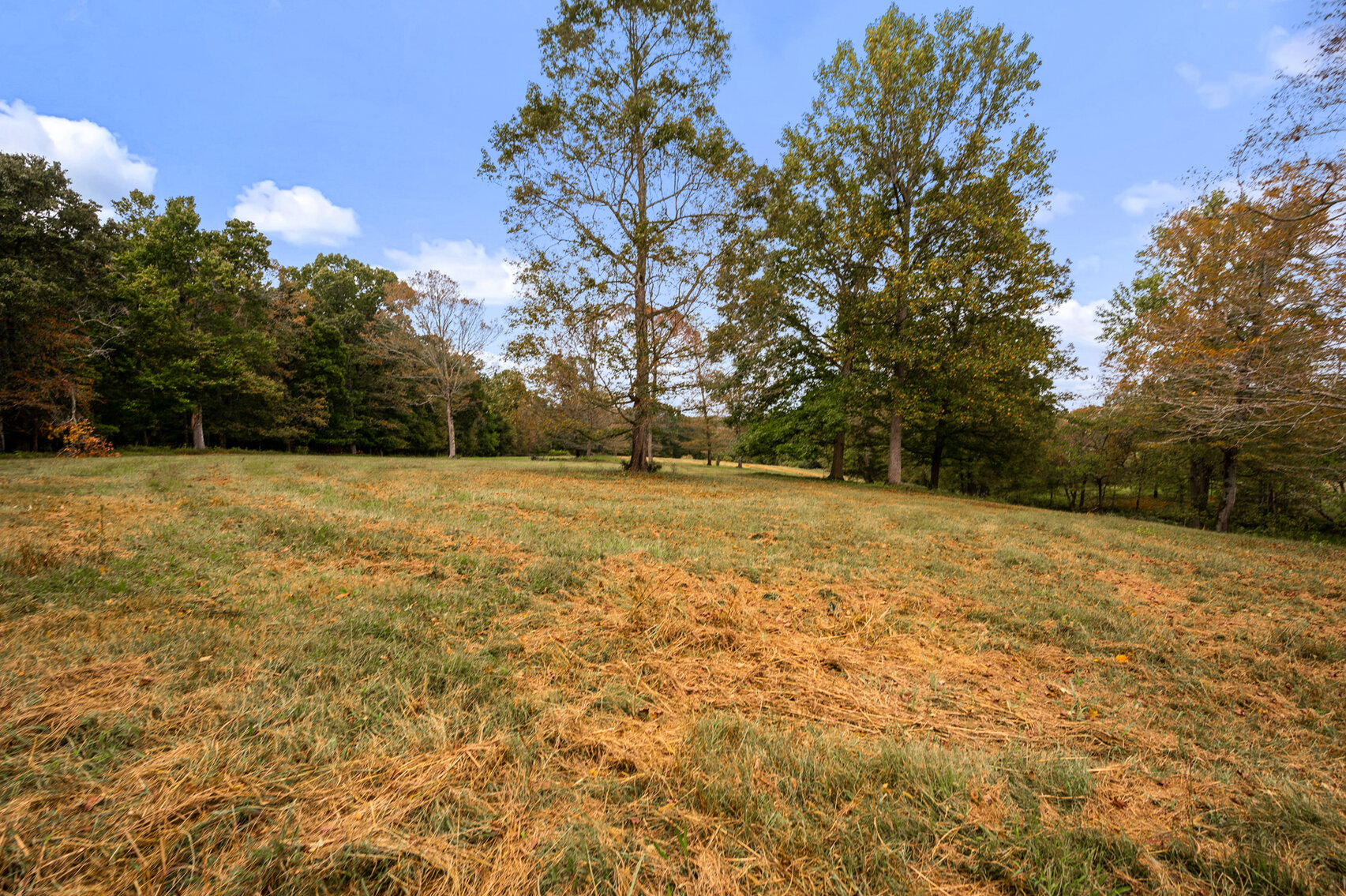 Image for 754 Medlen Lane, Smithville