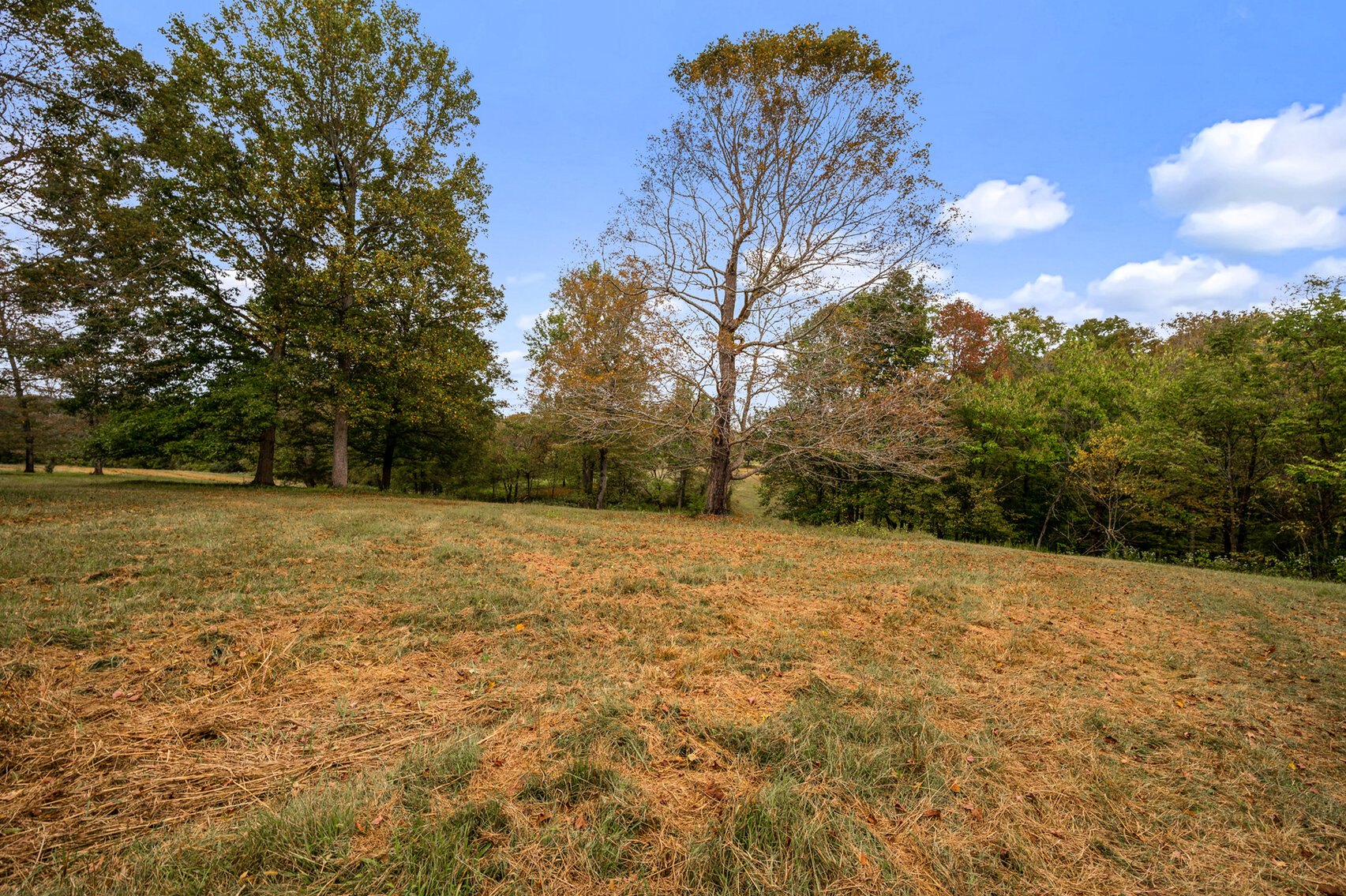 Image for 754 Medlen Lane, Smithville