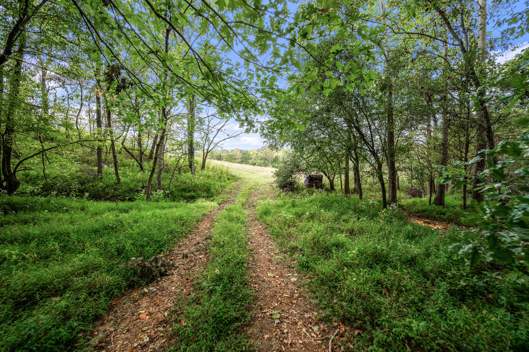 Image for 754 Medlen Lane, Smithville