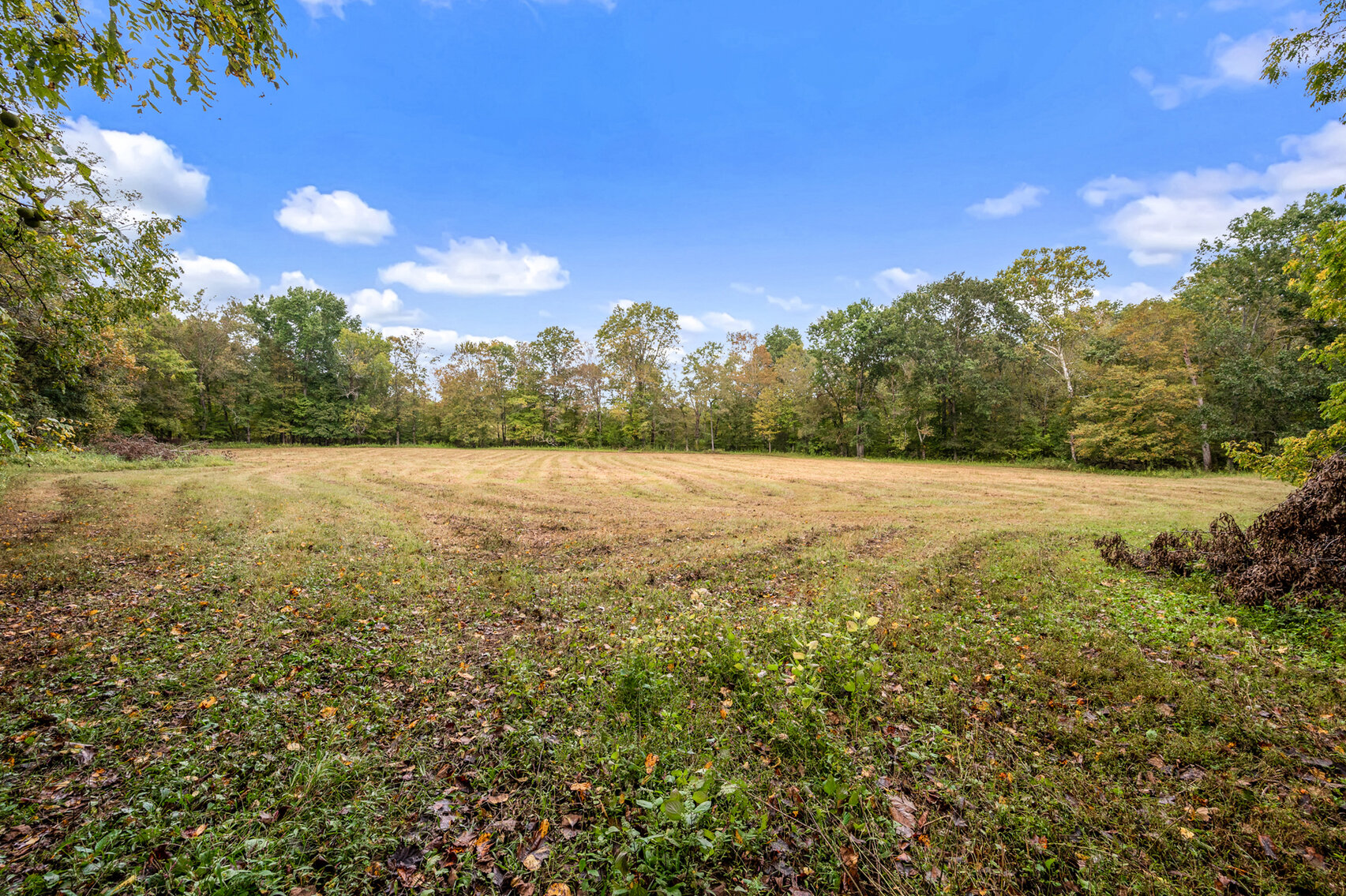 Image for 754 Medlen Lane, Smithville