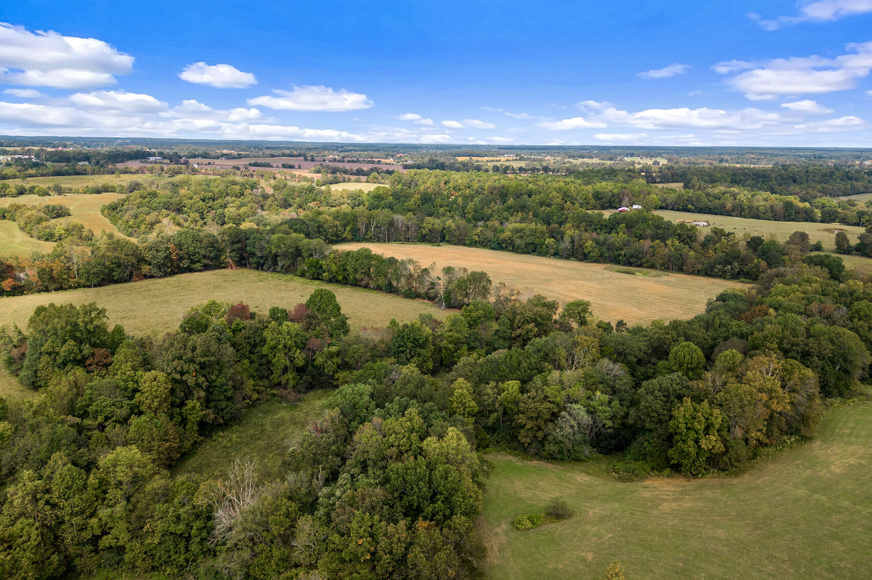 Image for 754 Medlen Lane, Smithville