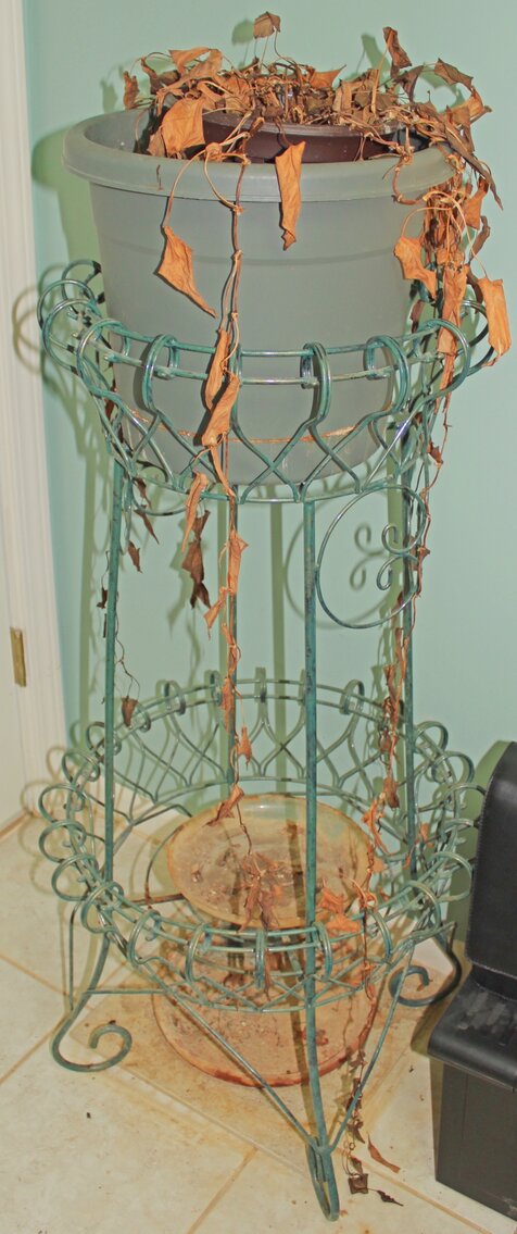 Image for ESTATE AUCTION